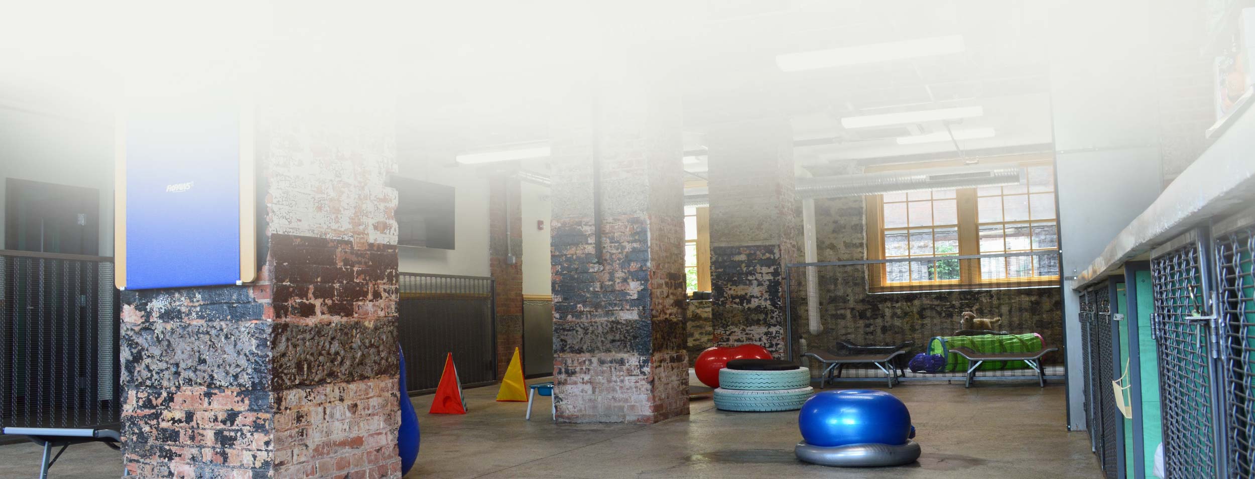 Pet Store + Services in Buffalo, NY Animal Outfitters